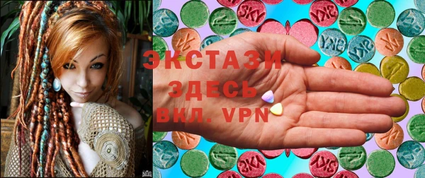 дмт Богданович