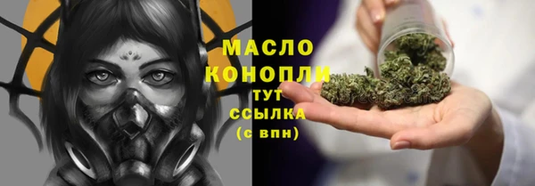 дмт Богданович