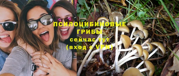 дмт Богданович