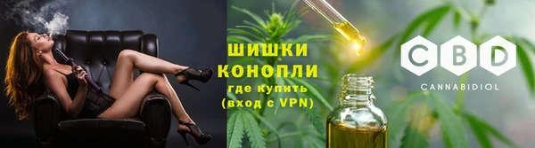 дмт Богданович