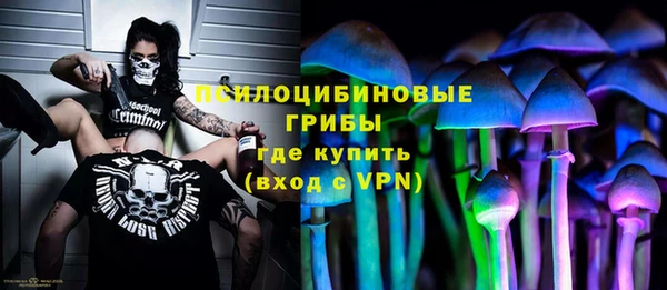 дмт Богданович