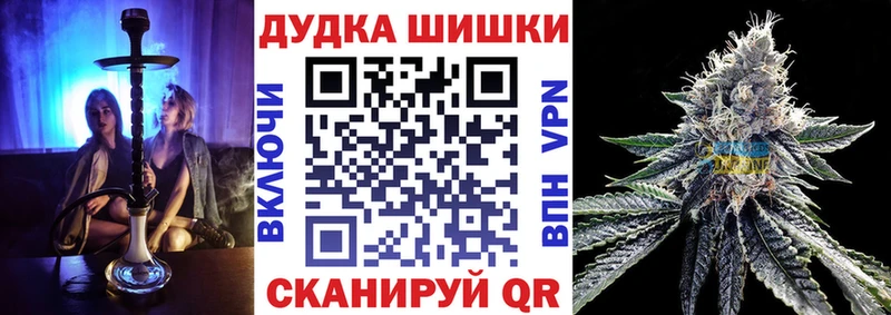 Бошки марихуана планчик  где продают   Светлогорск 